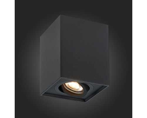 Оформить заказ Накладной светильник ST-Luce ST109.407.01| VIVID-LIGHT.RU