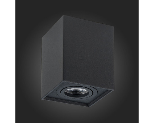 Оформить заказ Накладной светильник ST-Luce ST109.407.01| VIVID-LIGHT.RU