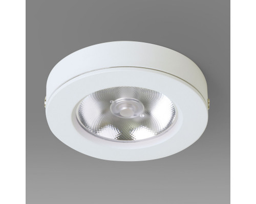 Заказать Накладной светильник Elektrostandard DLS030 10W 4200K белый| VIVID-LIGHT.RU