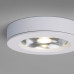 Заказать Накладной светильник Elektrostandard DLS030 10W 4200K белый| VIVID-LIGHT.RU