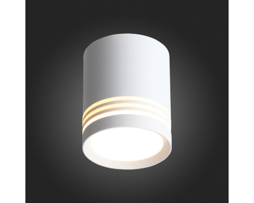 Купить Накладной светильник ST-Luce ST101.542.05| VIVID-LIGHT.RU