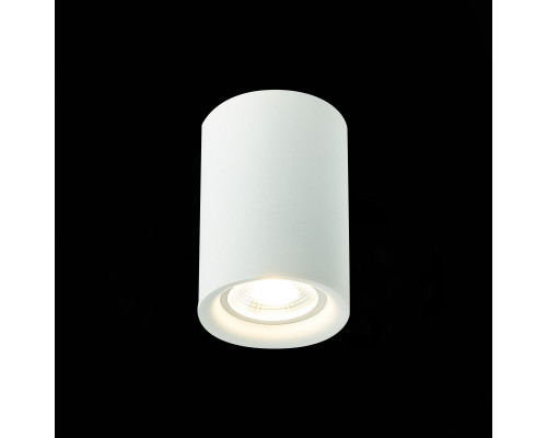 Сделать заказ Накладной светильник ST-Luce ST114.507.01| VIVID-LIGHT.RU