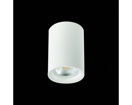 Сделать заказ Накладной светильник ST-Luce ST114.507.01| VIVID-LIGHT.RU