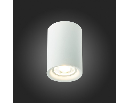 Сделать заказ Накладной светильник ST-Luce ST114.507.01| VIVID-LIGHT.RU