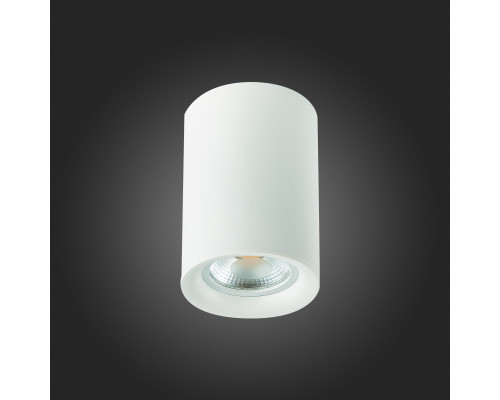 Сделать заказ Накладной светильник ST-Luce ST114.507.01| VIVID-LIGHT.RU