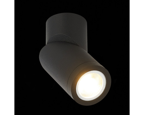 Сделать заказ Накладной светильник ST-Luce ST650.402.01| VIVID-LIGHT.RU