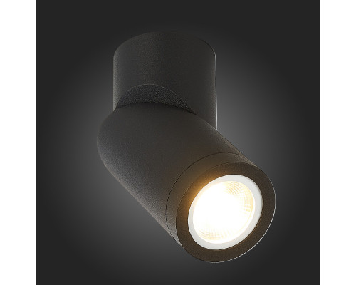 Сделать заказ Накладной светильник ST-Luce ST650.402.01| VIVID-LIGHT.RU