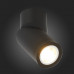 Сделать заказ Накладной светильник ST-Luce ST650.402.01| VIVID-LIGHT.RU