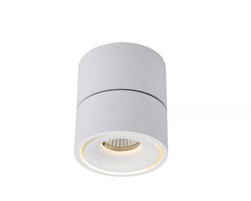 Оформить заказ Накладной светильник LeDron LH13W-White 3000K| VIVID-LIGHT.RU