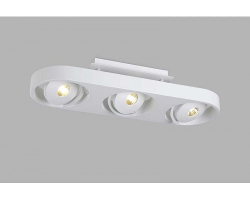 Оформить заказ Накладной светильник Donolux DL18697/13WW-White| VIVID-LIGHT.RU