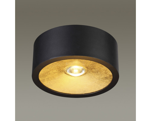 Сделать заказ Накладной светильник Odeon Light 3875/1CL| VIVID-LIGHT.RU