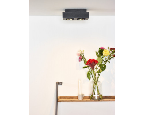 Сделать заказ Накладной светильник LUCIDE 09119/10/30| VIVID-LIGHT.RU