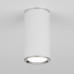 Сделать заказ Накладной светильник Elektrostandard DLN101 GU10 WH белый| VIVID-LIGHT.RU