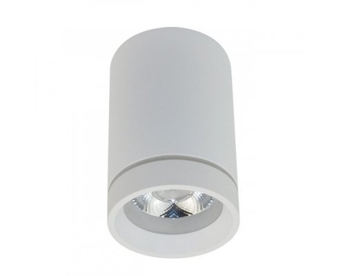 Купить Накладной светильник APLOYT APL.0054.09.10| VIVID-LIGHT.RU