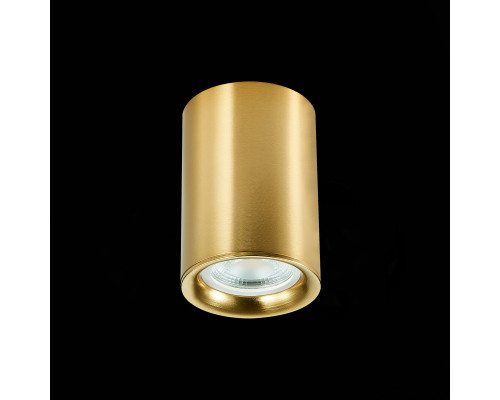 Оформить заказ Накладной светильник ST-Luce ST114.207.01| VIVID-LIGHT.RU