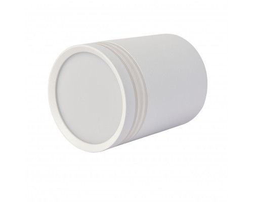 Заказать Накладной светильник Favourite 3065-1C| VIVID-LIGHT.RU