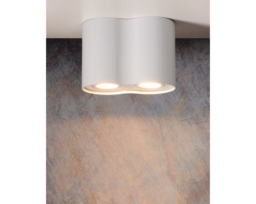 Заказать Накладной светильник 22952/02/31 LUCIDE| VIVID-LIGHT.RU