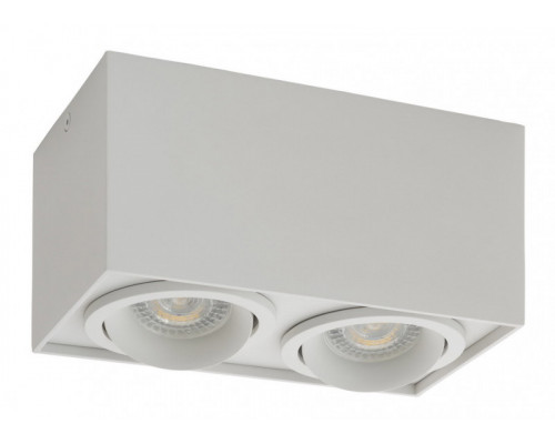 Сделать заказ Накладной светильник Denkirs DK2004-WH| VIVID-LIGHT.RU