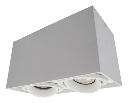 Сделать заказ Накладной светильник Denkirs DK2004-WH| VIVID-LIGHT.RU