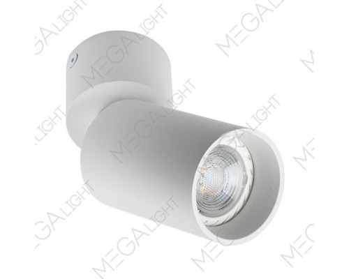 Заказать Накладной светильник MEGALIGHT 5090 white| VIVID-LIGHT.RU