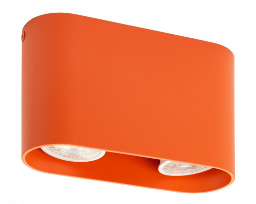 Сделать заказ Накладной светильник Denkirs DK2006-OR| VIVID-LIGHT.RU