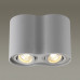 Купить Накладной светильник Odeon Light 3831/2C| VIVID-LIGHT.RU