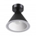 Заказать Накладной светильник Odeon Light 3838/15CL| VIVID-LIGHT.RU