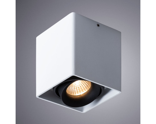 Купить Накладной светильник ARTE Lamp A5654PL-1WH| VIVID-LIGHT.RU