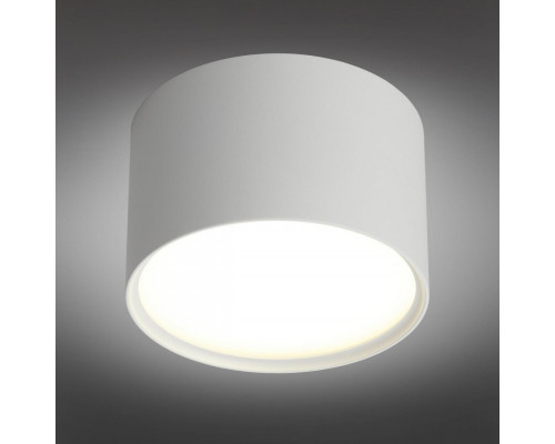 Оформить заказ Накладной светильник Omnilux OML-100909-06| VIVID-LIGHT.RU