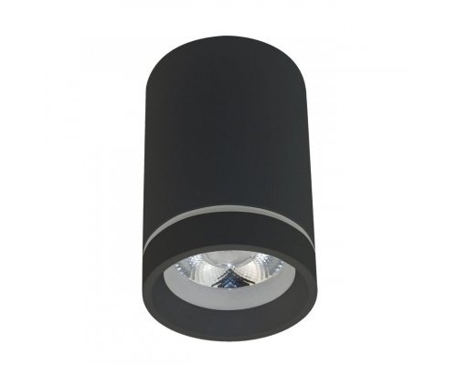 Сделать заказ Накладной светильник APLOYT APL.0053.19.10| VIVID-LIGHT.RU