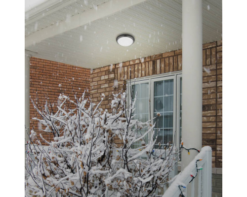 Заказать Уличный светильник Novotech 357505| VIVID-LIGHT.RU