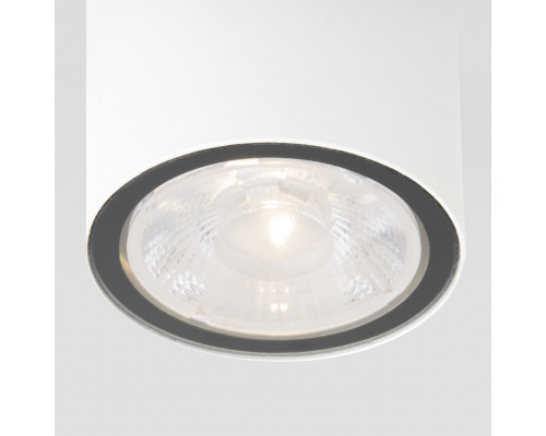 Оформить заказ Уличный светильник Elektrostandard Light LED 2103 (35131/H) белый| VIVID-LIGHT.RU