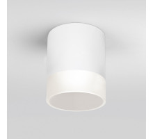 Уличный светильник Elektrostandard Light LED 2107 (35140/H) белый