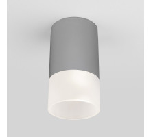 Уличный светильник Elektrostandard Light LED 2106 (35139/H) серый
