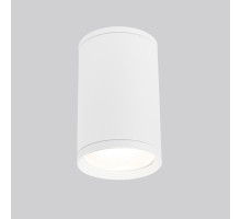 Уличный светильник Elektrostandard Light 2101 (35128/H) белый