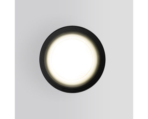 Заказать Уличный светильник Elektrostandard Light 2101 (35128/H) черный| VIVID-LIGHT.RU