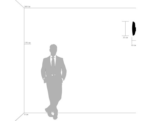 Сделать заказ Бра Lightstar 803600| VIVID-LIGHT.RU