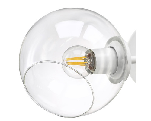 Купить Бра Lightstar 785626| VIVID-LIGHT.RU