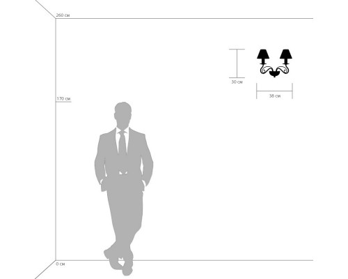 Купить Бра Lightstar 782620| VIVID-LIGHT.RU