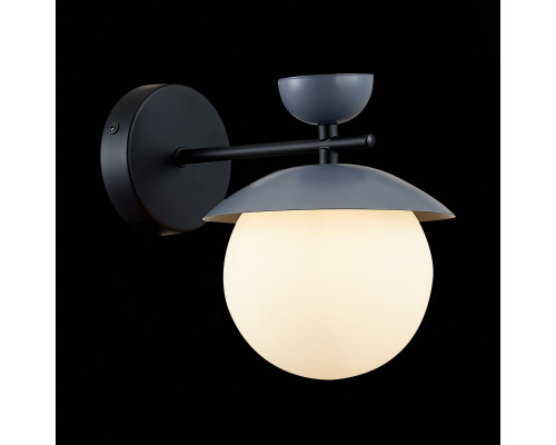 Сделать заказ Бра Evoluce SLE220201-01| VIVID-LIGHT.RU