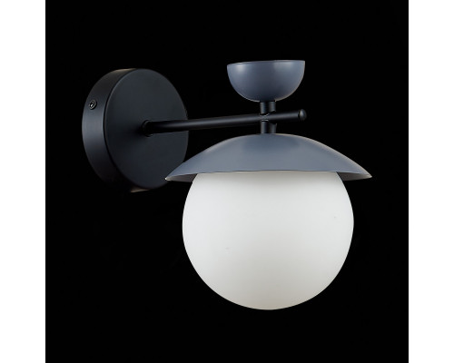 Сделать заказ Бра Evoluce SLE220201-01| VIVID-LIGHT.RU