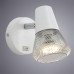 Заказать Бра ARTE Lamp A9268AP-1WH| VIVID-LIGHT.RU