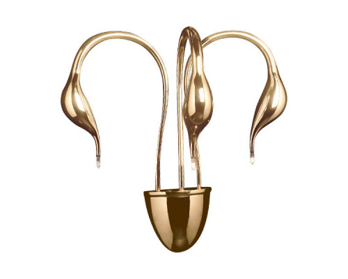 Купить Бра Lightstar 751632| VIVID-LIGHT.RU