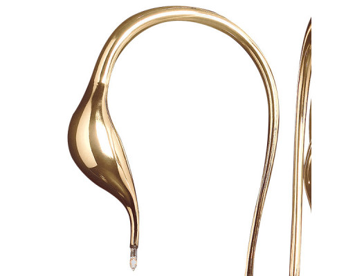 Купить Бра Lightstar 751632| VIVID-LIGHT.RU