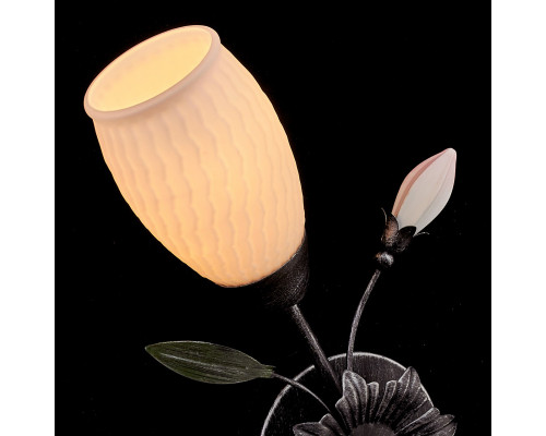 Сделать заказ Бра MW-Light 334023701| VIVID-LIGHT.RU