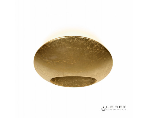 Сделать заказ Бра iLedex ZD8152-6W Gold| VIVID-LIGHT.RU