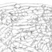 Сделать заказ Бра Lightstar 603620| VIVID-LIGHT.RU