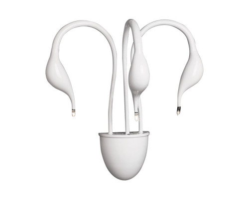 Купить Бра Lightstar 751636| VIVID-LIGHT.RU