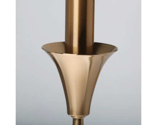 Оформить заказ Бра MW-Light 614023301| VIVID-LIGHT.RU