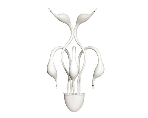 Заказать Бра Lightstar 751656| VIVID-LIGHT.RU